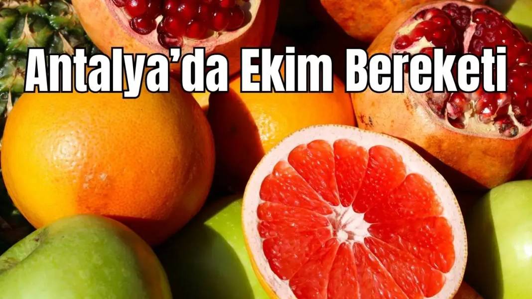 Antalya 11 Ekim Özeti 12